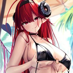This is a pixiv picture whose title is ヒンデンブルク.