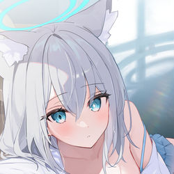 This is a pixiv picture whose title is シロコちゃん自撮り.