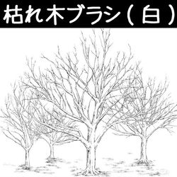 This is a pixiv picture whose title is 枯れ木ブラシ（白）.