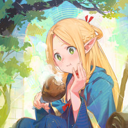 This is a pixiv picture whose title is マルシル.