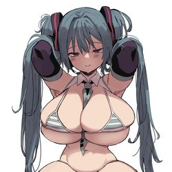 This is a pixiv picture whose title is ミクさん.