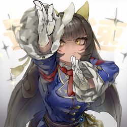 This is a pixiv picture whose title is 最高速のポーズ.