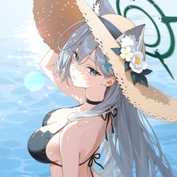 This is a pixiv picture whose title is シロコ*テラー (水着).