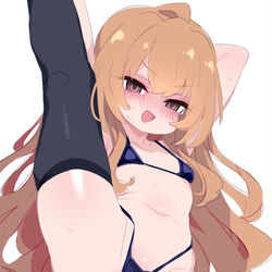 This is a pixiv picture whose title is 逢坂大河 0725.