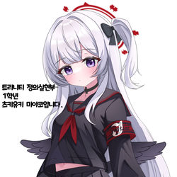 This is a pixiv picture whose title is 正義実現委員会 ミヤコ.