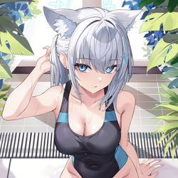 This is a pixiv picture whose title is 水着シロコ.