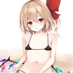 This is a pixiv picture whose title is 水着フラン。.