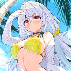 This is a pixiv picture whose title is 水着ラプアさん.