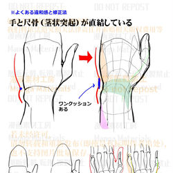 This is a pixiv picture whose title is 個人メモ：手首の構造.