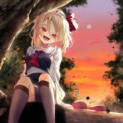 This is a pixiv picture whose title is 夕暮れの陽はすぐ落ちる.