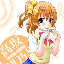 This is a pixiv picture whose title is 穂乃果ちゃん.