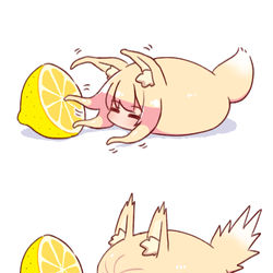 This is a pixiv picture whose title is ケモミミちゃんつめあわせ.