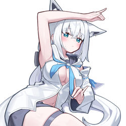 This is a pixiv picture whose title is 腋.