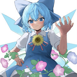 This is a pixiv picture whose title is 日焼けしたチルノ.