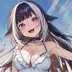 This is a pixiv picture whose title is シャイリリー.