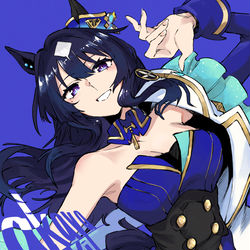 This is a pixiv picture whose title is ヴィルシーナ.