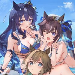 This is a pixiv picture whose title is 【C104新刊情報】SUMMER WAVES Vol.3.