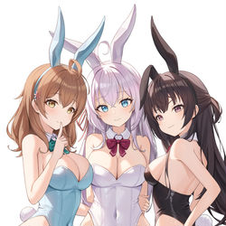 This is a pixiv picture whose title is Request 「ロシデレ（バニーガール）」.