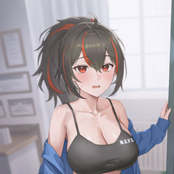 This is a pixiv picture whose title is 朱鳶.