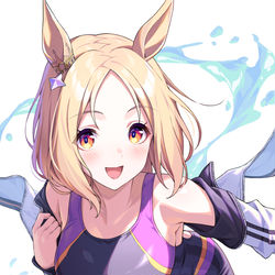 This is a pixiv picture whose title is 水着ジャージトップロード.