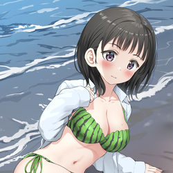 This is a pixiv picture whose title is スイカがおいしい季節🍉.