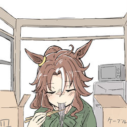 This is a pixiv picture whose title is 引越しそば.