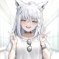 This is a pixiv picture whose title is ✌️🦊.