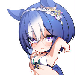 This is a pixiv picture whose title is シーザリオ.