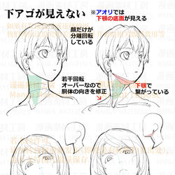 This is a pixiv picture whose title is 個人メモ：顔と首を繋ぐ顎の底面.