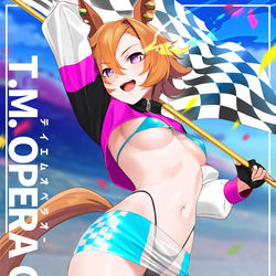 This is a pixiv picture whose title is 🐴🏁.