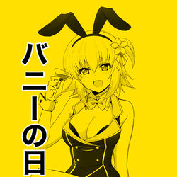 This is a pixiv picture whose title is バニーの日代表.