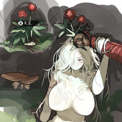 This is a pixiv picture whose title is 千年人参精.