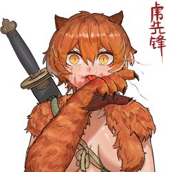 This is a pixiv picture whose title is 娘化：虎先锋.