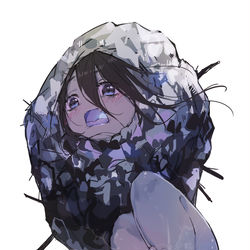 This is a pixiv picture whose title is 石双双.