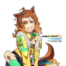 This is a pixiv picture whose title is ポッケ.