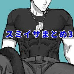 This is a pixiv picture whose title is スミイサまとめ3.