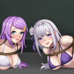 This is a pixiv picture whose title is [COM] Emilia & Anastasia.