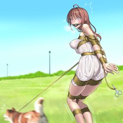 This is a pixiv picture whose title is 【惩戒系列】遛狗请牵狗绳.