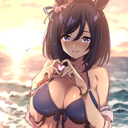 This is a pixiv picture whose title is エイシンフラッシュ、水着.