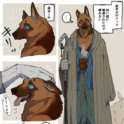 This is a pixiv picture whose title is 家畜.