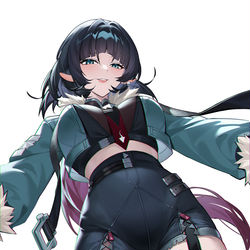 This is a pixiv picture whose title is 绝区零 简.