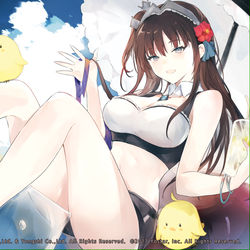 This is a pixiv picture whose title is アズールレーン.