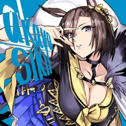 This is a pixiv picture whose title is エアグルーヴ.