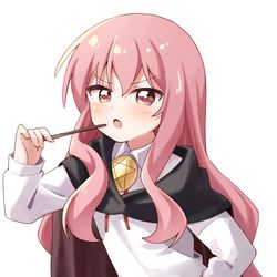 This is a pixiv picture whose title is ルイズ。.