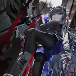 This is a pixiv picture whose title is 缄默德克萨斯.