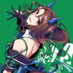 This is a pixiv picture whose title is キングヘイロー.