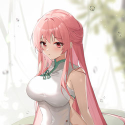 This is a pixiv picture whose title is 14日目　チーパオパーシュース.