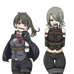 This is a pixiv picture whose title is 怪盗の女の子.