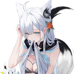 This is a pixiv picture whose title is お姉さんフブちゃん.