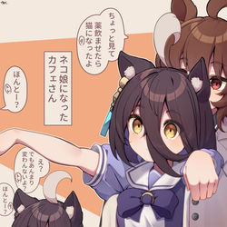 This is a pixiv picture whose title is 猫にされてしまったカフェさん.